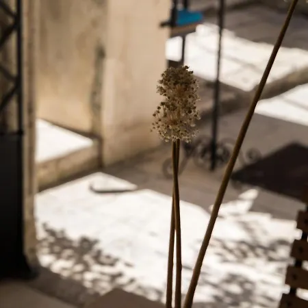 Slavija Culture Heritage