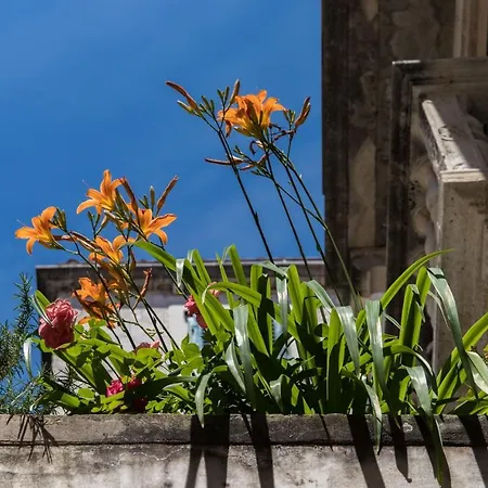 Slavija Culture Heritage 스플리트